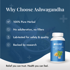 Shatavari - Vajab Healthcare Pvt. Ltd